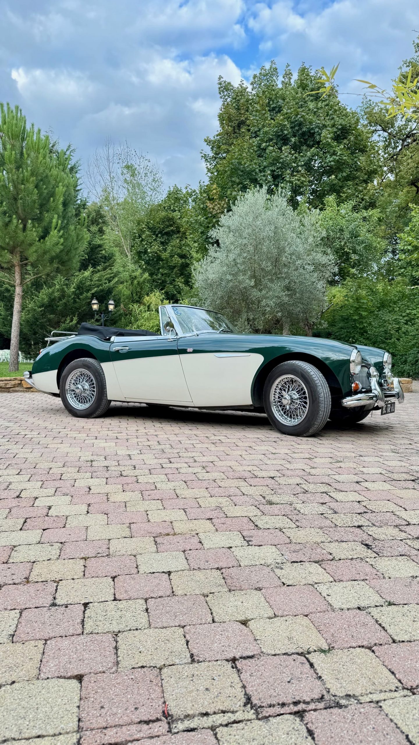 Mariage au Domaine des Oliviers à Legny (Rhône)